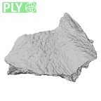 DV14-163 Homo sapiens cranium fragment ply