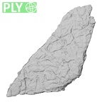 DV14-165 Homo sapiens cranium fragment ply