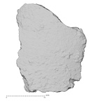 DV14-167 Homo sapiens cranium fragment view 1