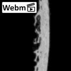 DV14-167 Homo sapiens cranium fragment ct stack movie