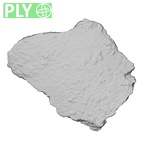 DV14-167 Homo sapiens cranium fragment ply