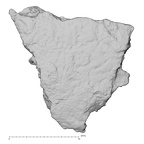 DV14-168 Homo sapiens cranium fragment view 1