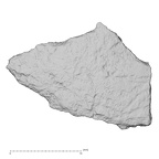 DV14-170 Homo sapiens cranium fragment view 1