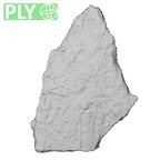 DV14-170 Homo sapiens cranium fragment ply