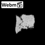 DV14-171 Homo sapiens cranium fragment ct stack movie