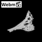 DV14-172 Homo sapiens cranium fragment ct stack movie