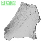 DV14-173 Homo sapiens cranium fragment ply