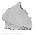 DV14-174 Homo sapiens cranium fragment view 1