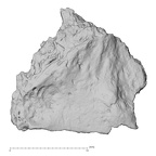 DV14-174 Homo sapiens cranium fragment view 2