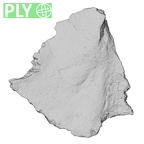 DV14-174 Homo sapiens cranium fragment ply