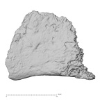 DV14-175 Homo sapiens cranium fragment view 1