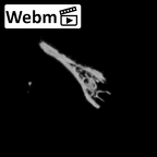 DV14-177 Homo sapiens cranium fragment ct stack movie