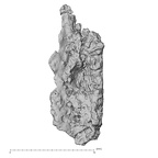 DV14-178 Homo sapiens cranium fragment view 3