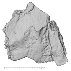 DV14-179 Homo sapiens cranium fragment view 1
