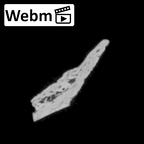 DV14-179 Homo sapiens cranium fragment ct stack movie