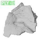 DV14-179 Homo sapiens cranium fragment ply