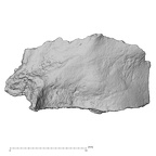 DV14-180a Homo sapiens cranium fragment view 1