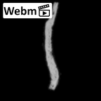 DV14-180a Homo sapiens cranium fragment ct stack movie