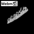 DV14-180b Homo sapiens cranium fragment ct stack movie