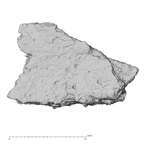 DV14-180c Homo sapiens cranium fragment view 1