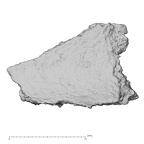 DV14-180c Homo sapiens cranium fragment view 2