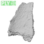 DV14-180c Homo sapiens cranium fragment ply