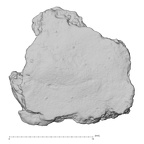 DV14-180d Homo sapiens cranium fragment view 1