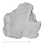 DV14-180d Homo sapiens cranium fragment view 2