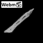 DV14-180d Homo sapiens cranium fragment ct stack movie
