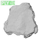 DV14-180d Homo sapiens cranium fragment ply