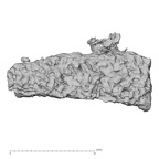 DV14-180e Homo sapiens cranium fragment view 2