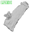 DV14-180e Homo sapiens cranium fragment ply