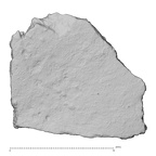 DV14-180f Homo sapiens cranium fragment view 1