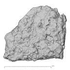 DV14-180f Homo sapiens cranium fragment view 2