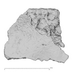 DV14-180g Homo sapiens cranium fragment view 1