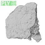DV14-180g Homo sapiens cranium fragment ply