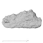 DV14-180h H. sapiens cranium fragment