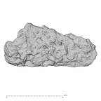 DV14-180h Homo sapiens cranium fragment view 2