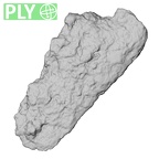 DV14-180h Homo sapiens cranium fragment ply