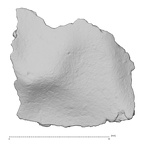 DV14-180i Homo sapiens cranium fragment view 1
