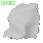 DV14-180i Homo sapiens cranium fragment ply