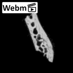 DV14-180j Homo sapiens cranium fragment ct stack movie