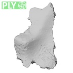 DV14-180j Homo sapiens cranium fragment ply