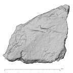 DV14-180l H. sapiens cranium fragment