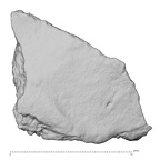 DV14-180l Homo sapiens cranium fragment view 2