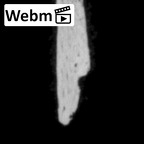 DV14-180l Homo sapiens cranium fragment ct stack movie