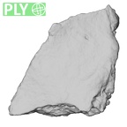 DV14-180l Homo sapiens cranium fragment ply