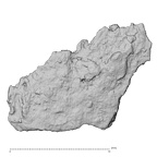 DV14-180m Homo sapiens cranium fragment view 1