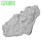 DV14-180m Homo sapiens cranium fragment ply