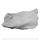 DV14-180n Homo sapiens cranium fragment view 1